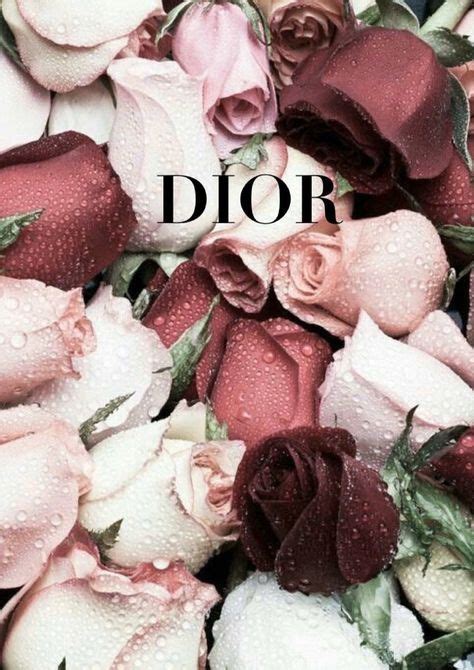 sfondi dior|dior incarnato.